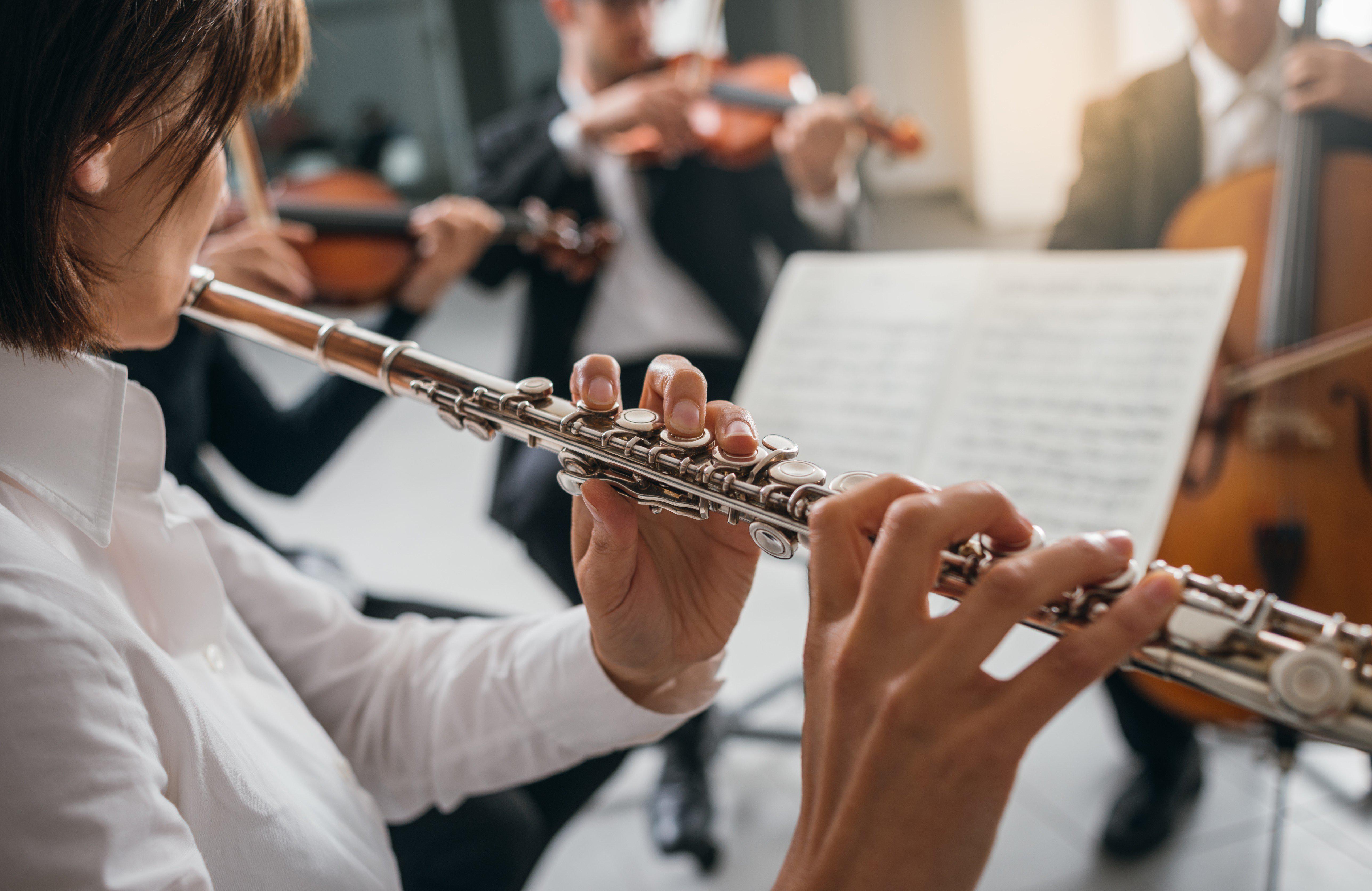 An Essential Guide to a Flute & Recorders for Beginners - MusicMajlis