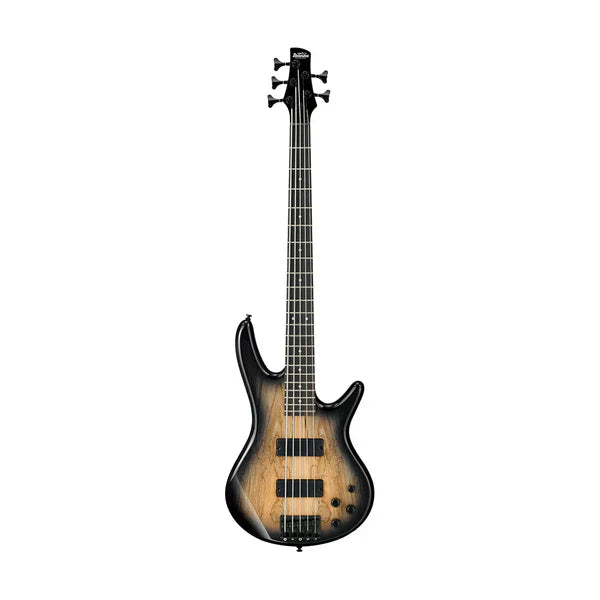 Bass Guitars - MusicMajlis