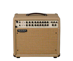 Acoustic Guitar Amps - MusicMajlis