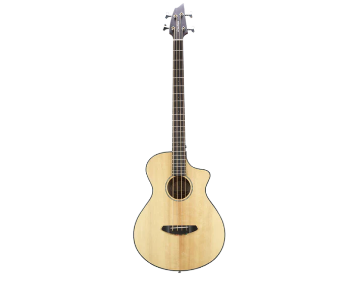 Semi-Acoustic Bass - MusicMajlis