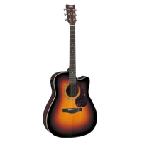 Semi Acoustic Guitar
