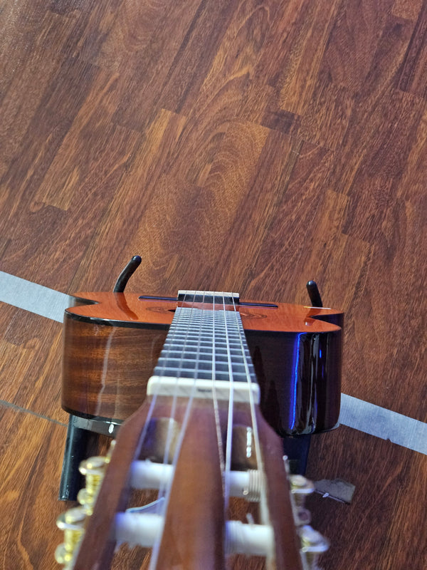 Washburn AD5CEPCACK شبه صوتي الغيتار 41 'Dreadnought مع حقيبة ، اختيارات ، حزام غير طبيعي