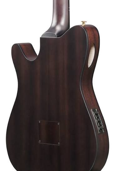 Ibanez FRH20FMNDGL Thinline Nylon-String Acoustic-Electric Guitar Featuring A Striking Deep Emerald Green Low Gloss Finish