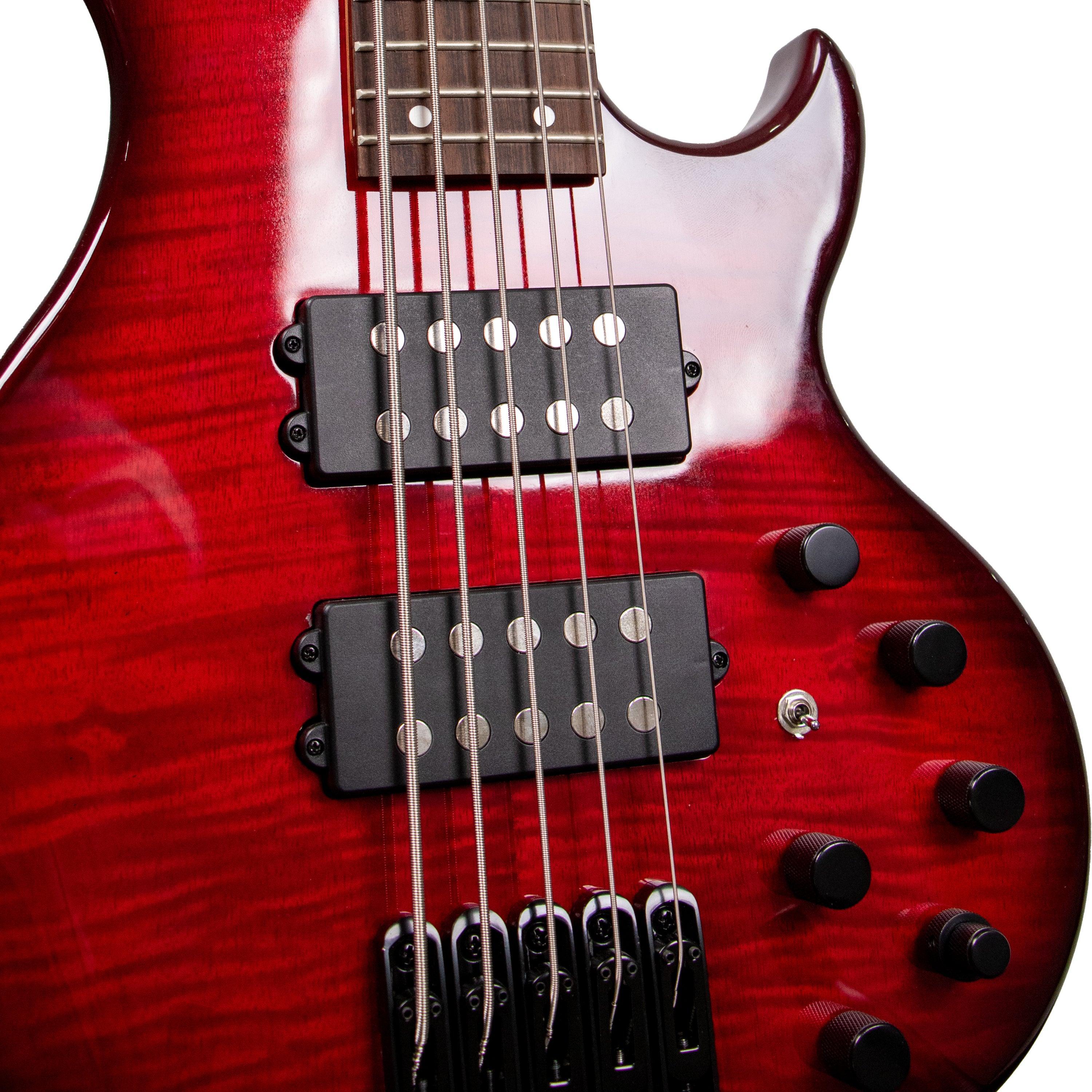 Tansen B555 Guitar Bass Electric 5-String Laurel Fingerboard HH Pickups - MusicMajlis