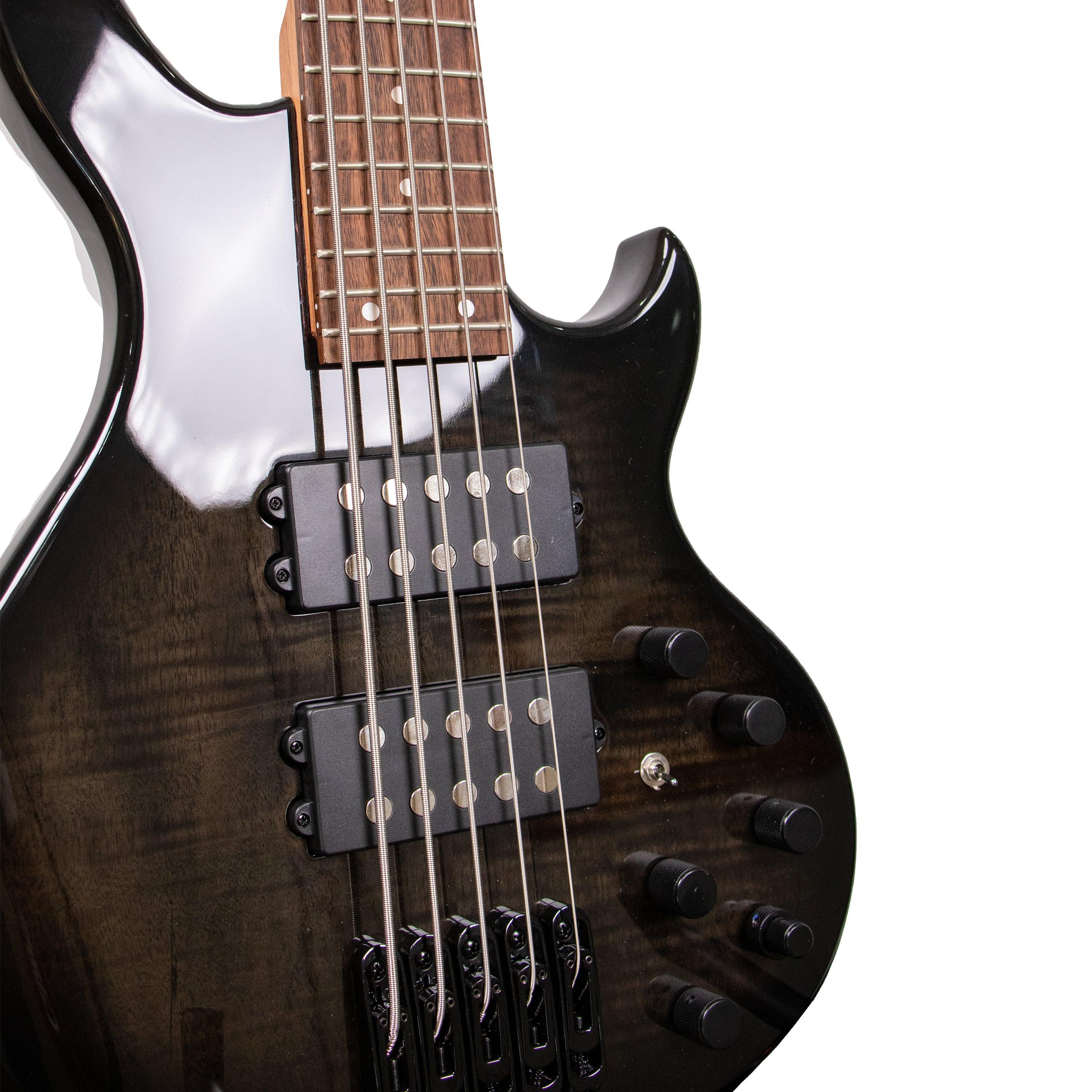 Tansen B555 Guitar Bass Electric 5-String Laurel Fingerboard HH Pickups - MusicMajlis