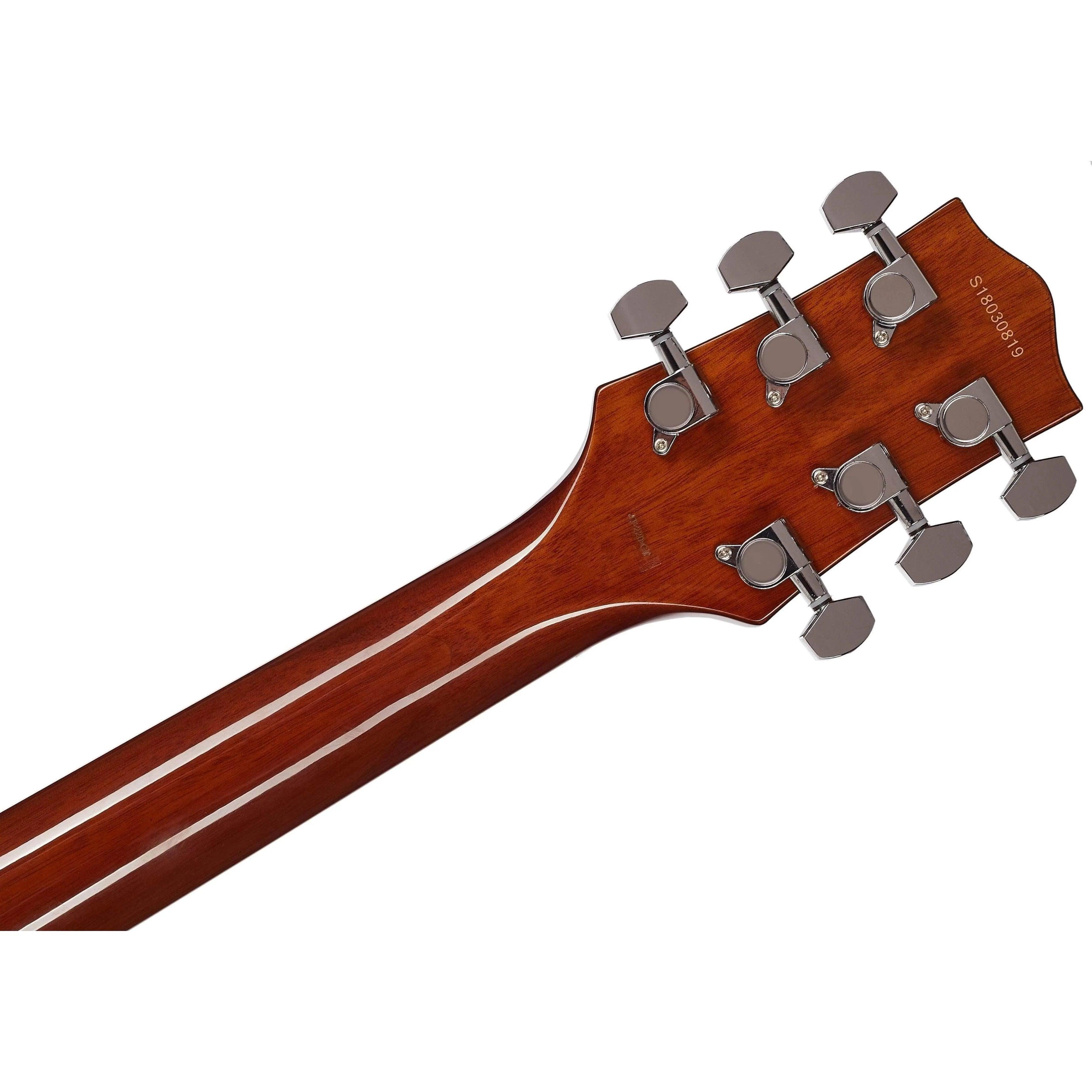 Jay Turser JT220DTE Electric Guitar - Tiger Eye (Discontinued) - MusicMajlis