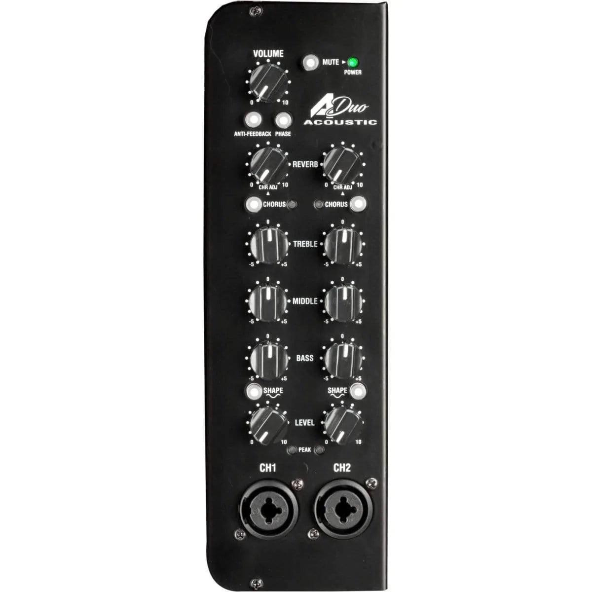 Laney A-DUO Acoustic Guitar Amplifier (Discontinued) - MusicMajlis