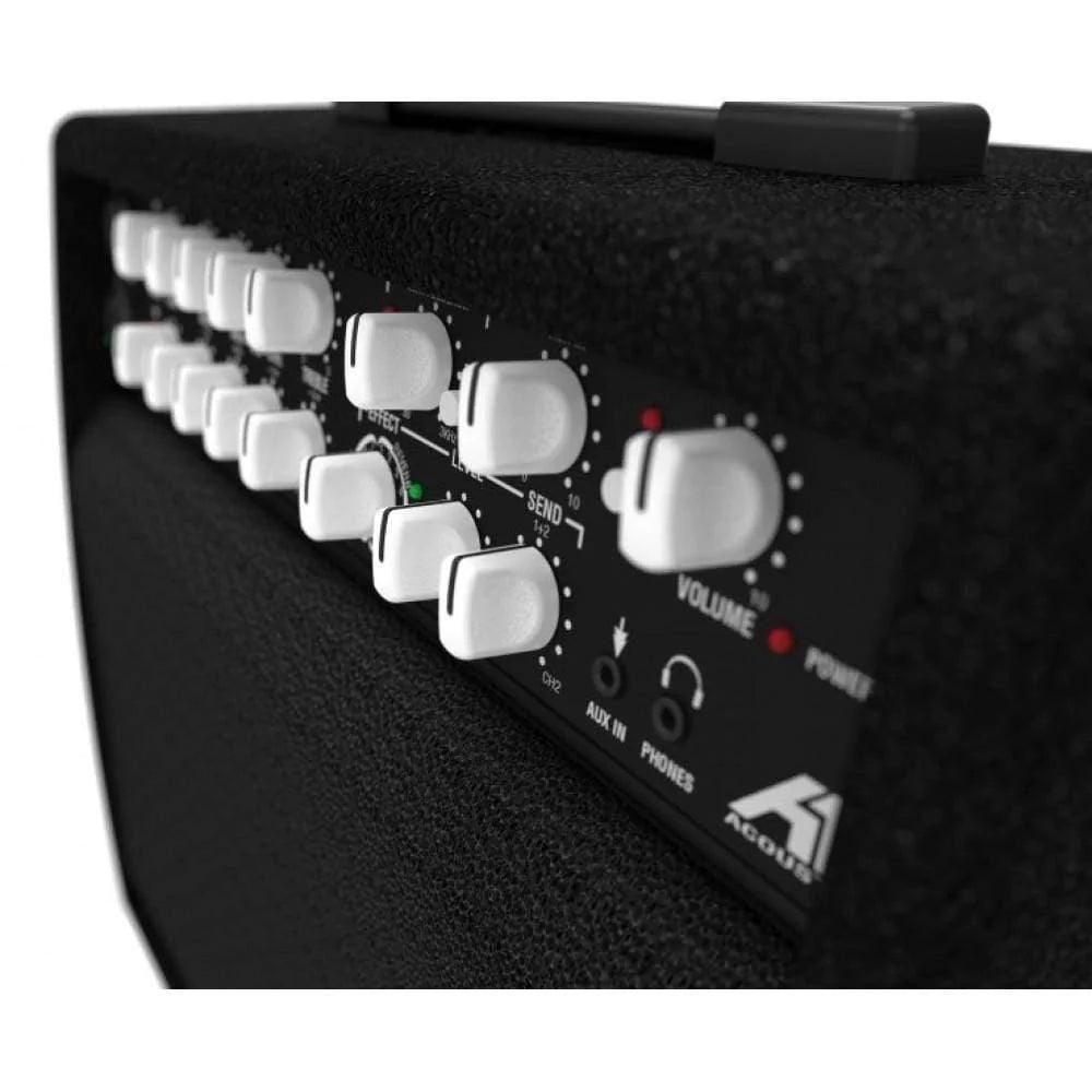 Laney A1 Plus Acoustic Amplifier (Discontinued) - MusicMajlis