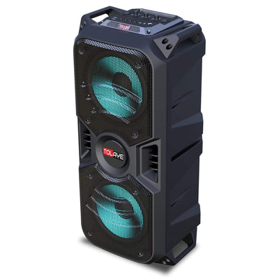 Tolaye TED601 Portable PA System - MusicMajlis