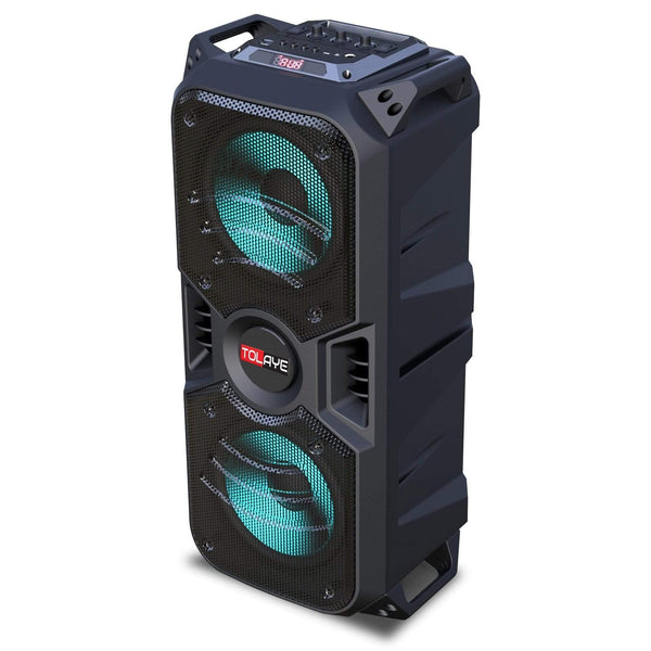 Tolaye TED601 Portable PA System - MusicMajlis