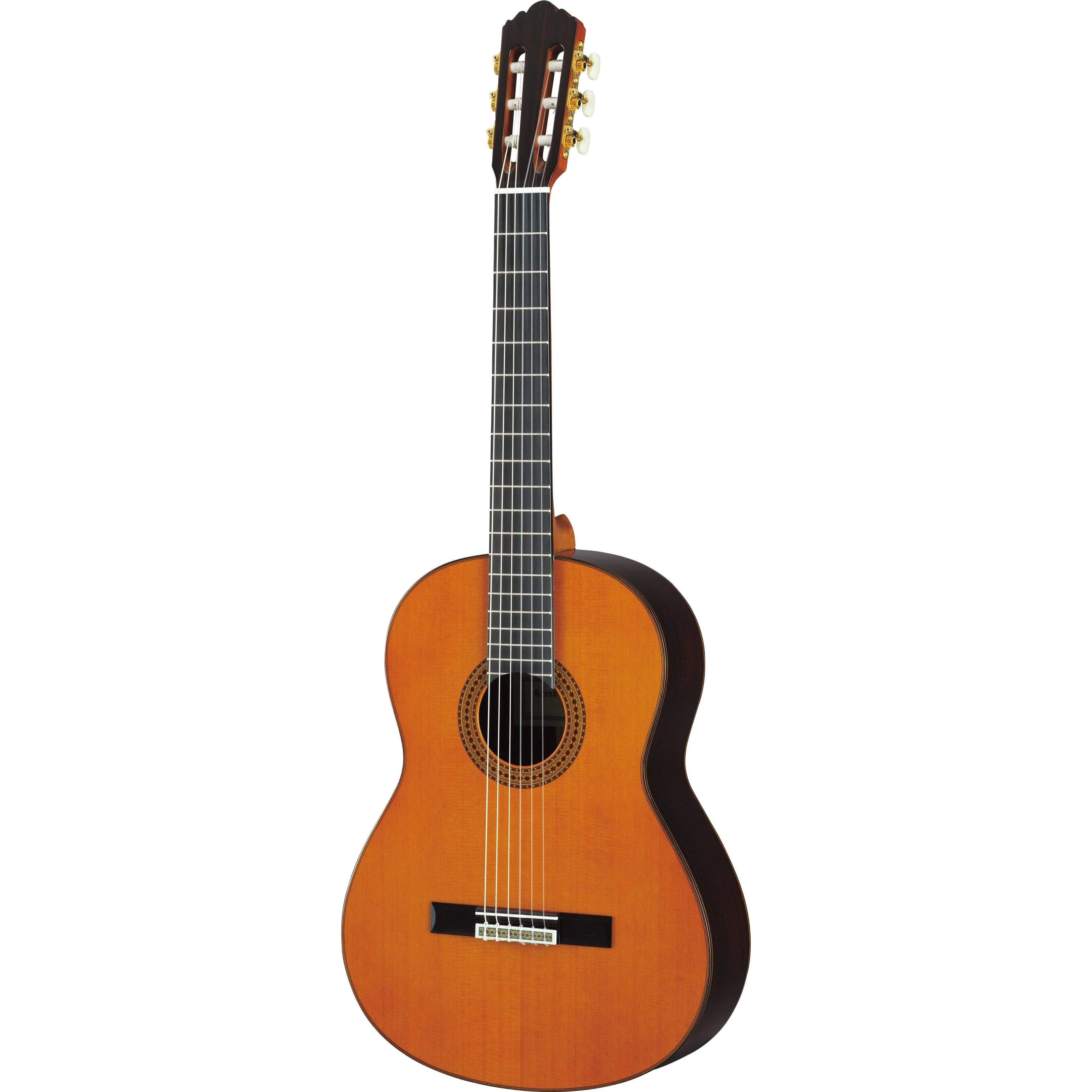 Buy Yamaha GC22C Grand Concert Classical Guitar - Natural in UAE 
