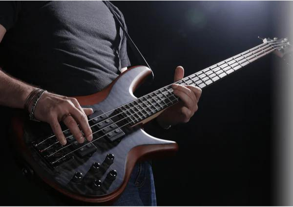 The 5 Best Electric Bass Guitars of 2024 - MusicMajlis