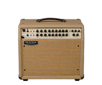 Acoustic Guitar Amps