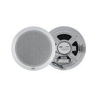 Ceiling & Pendant Speakers