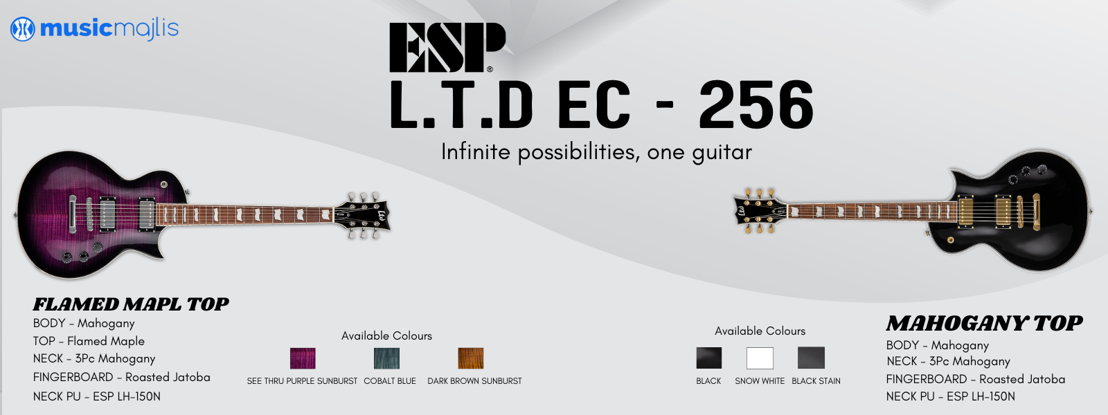 ESP LTD Guitars