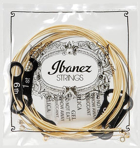 Ibanez IACS61C Acoustic Steel Strings
