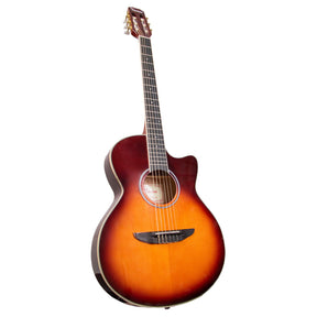 Tansen CG4088CSB Guitar Acoustic 40" HPL Fingerboard Sunburst - MusicMajlis