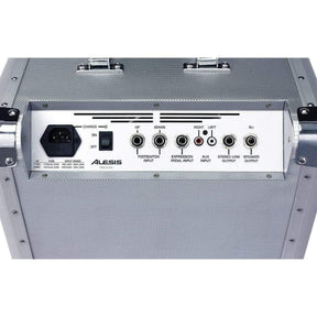 Alesis RoadFire 15 Guitar Amplifier - MusicMajlis