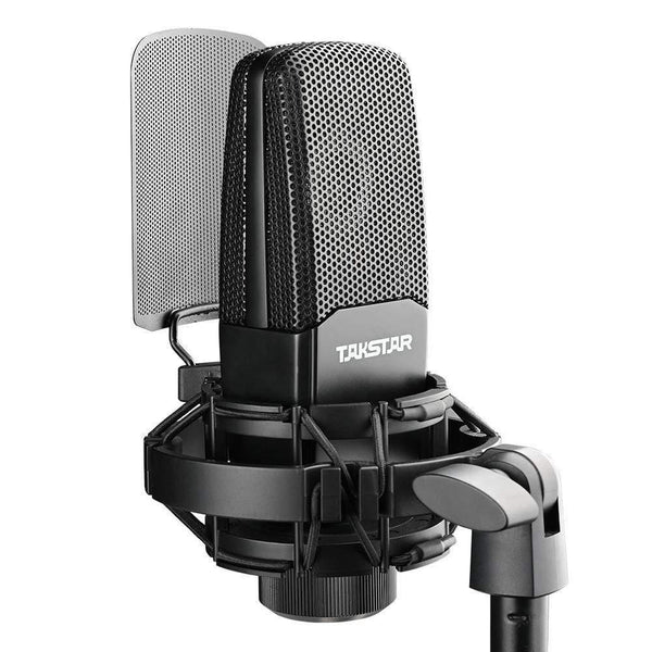 Buy Takstar TAK35 Unidirectional Condenser Recording Microphone in UAE ...