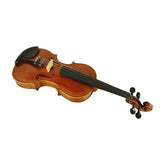 Tansen HDV41HF4X4 4/4 Violin - MusicMajlis