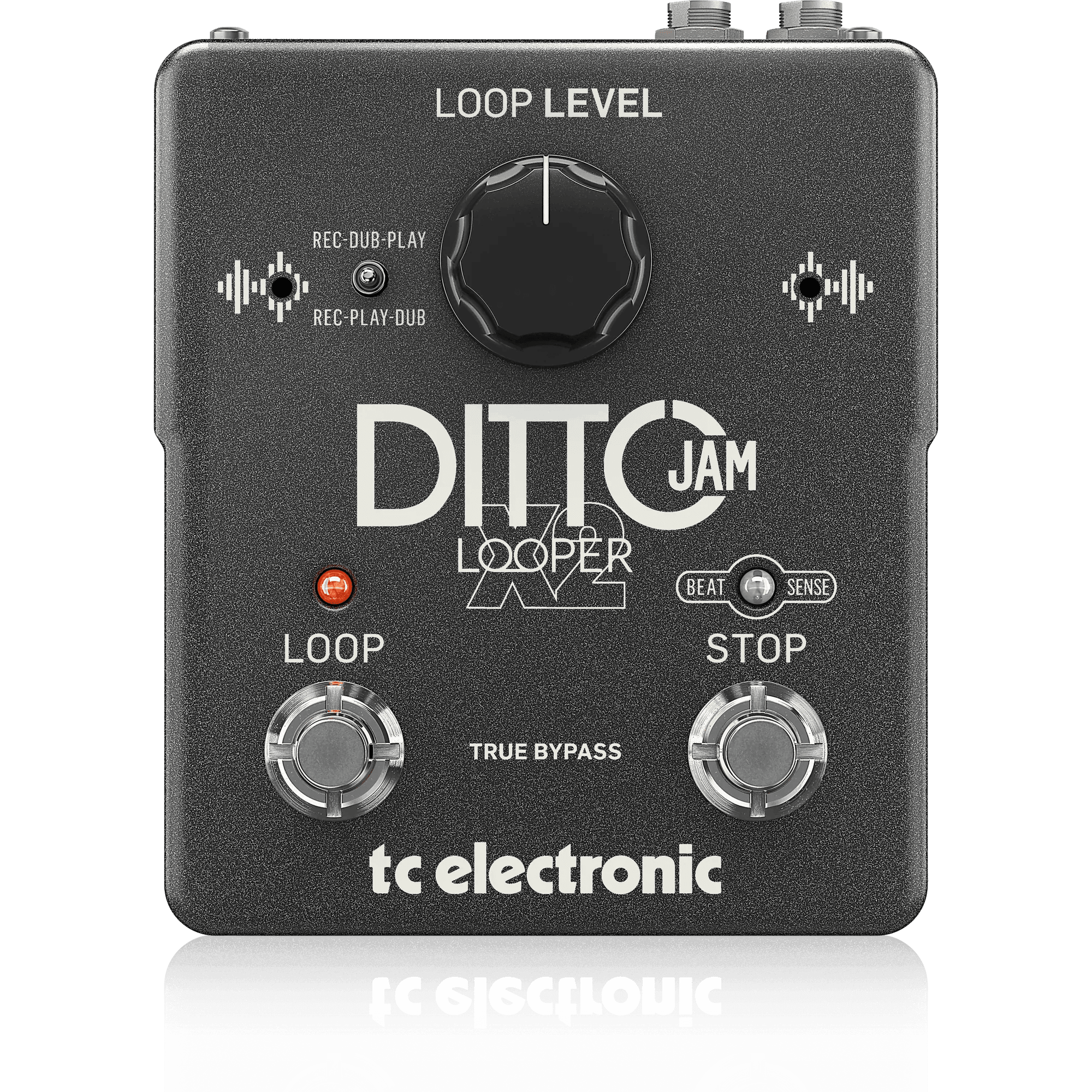 TC Electronic Ditto X4 Looper - MusicMajlis