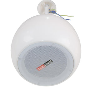 Tolaye Y606 Pendant Speaker - MusicMajlis