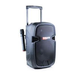 Tovaste PS110BT Rechargeable Portable PA System - MusicMajlis