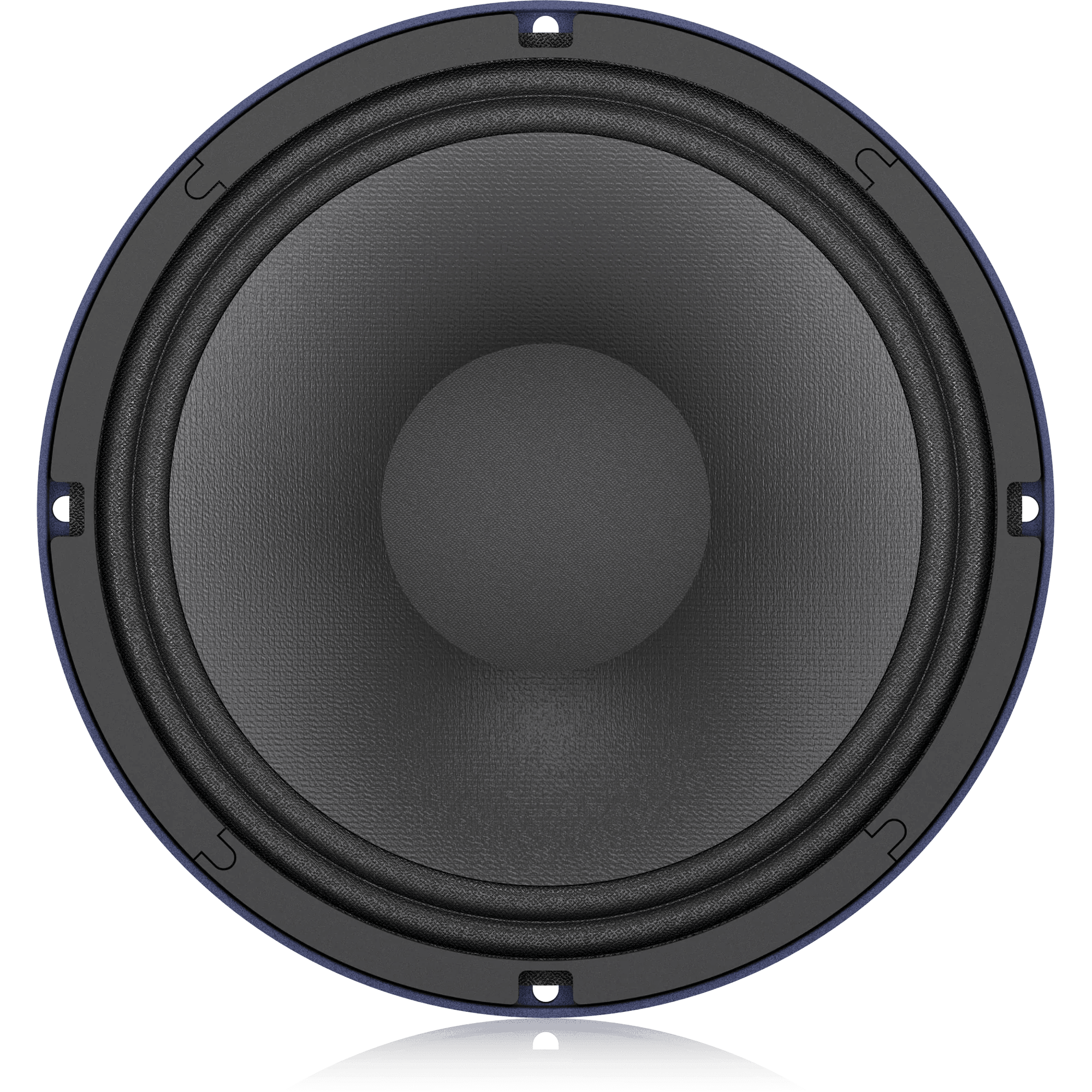 Turbosound TS-10W300/8A 300W 10" Low-Frequency Loudspeaker for PA Applications - MusicMajlis