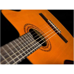 Washburn C5CE Classical Guitar - MusicMajlis